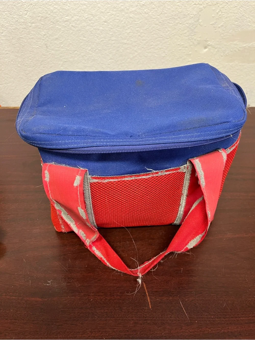 Vintage Blue & Red Lunch Cooler – Retro 90s Style